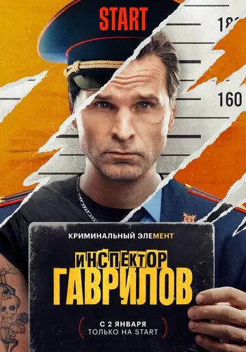 Инспектор Гаврилов (2024) 1 сезон