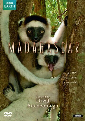 BBC: Мадагаскар (2011) 1 сезон